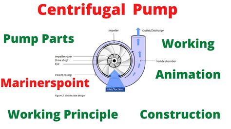 centrifugal pump animation|centrifugal pump working with pictures.